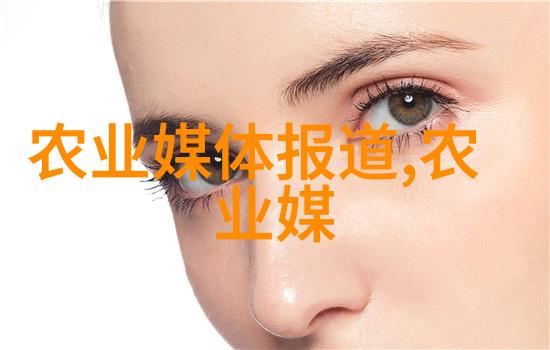 网上蔬菜新宠绿色健康一键解决