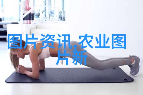 乌桕植物种植15公分乌桕价格详解
