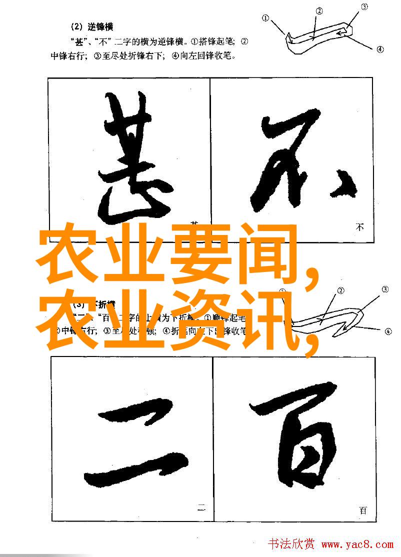 深入迷雾之中寻找那一方药材的秘密
