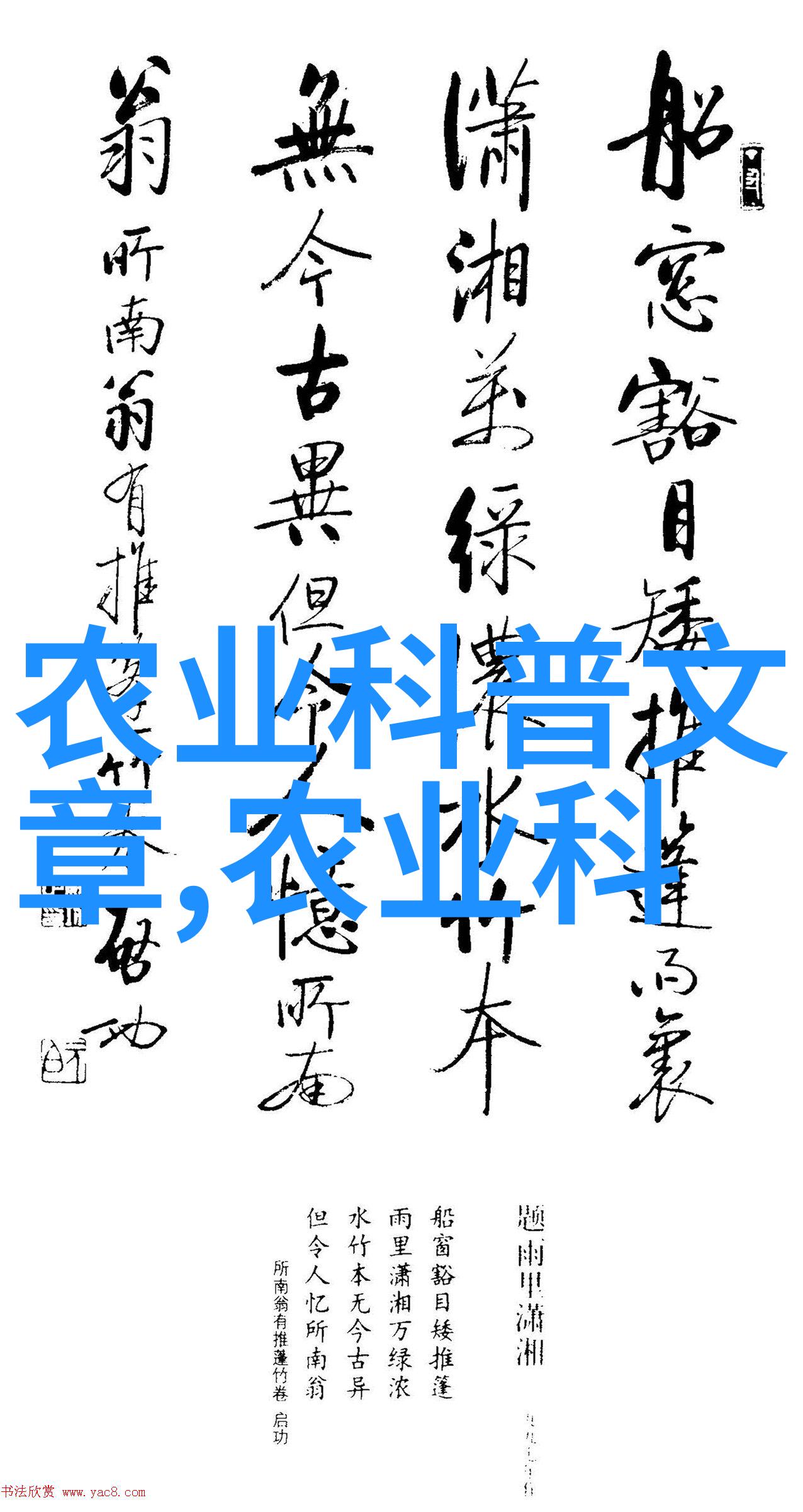 人狗ZOOM欢迎你来点宠物趣味的远程办公吧