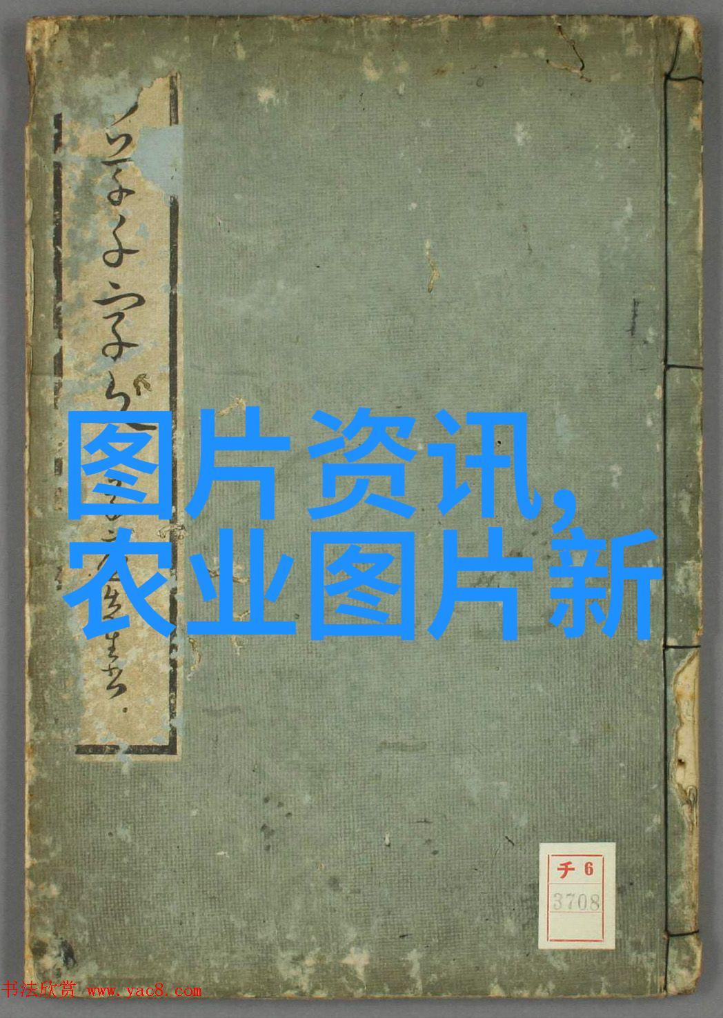 园艺宝典蔬菜种植的艺术与科学