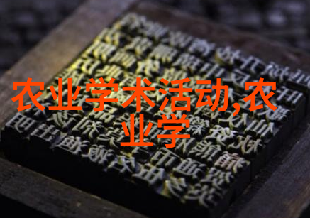 混凝土之梦钢铁之舞城市建设的双重奏鸣