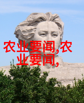 12公分木瓜树价格详解种植梦想的经济起点