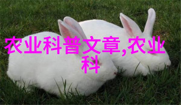 精选100种花卉木本植物园艺爱好者的宝库