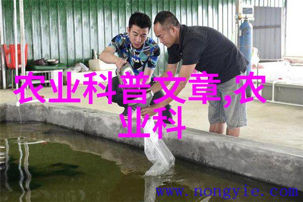 民法典之下羊肚菌盛世南阳市龙王沟景区引领钱景革命