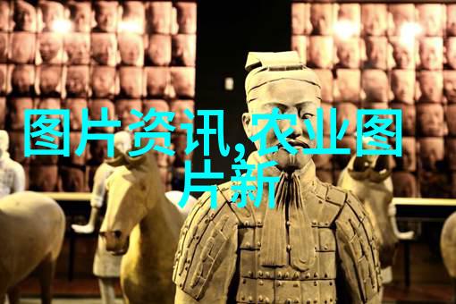 探究国家补贴政策对养殖羊牛羊业的影响与可持续发展路径