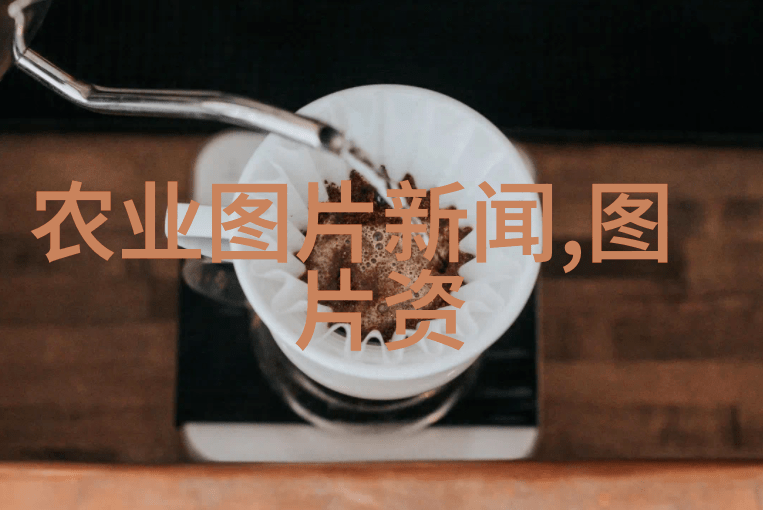 四棱豆的秘密探索这个奇特果实背后的文化与营养价值