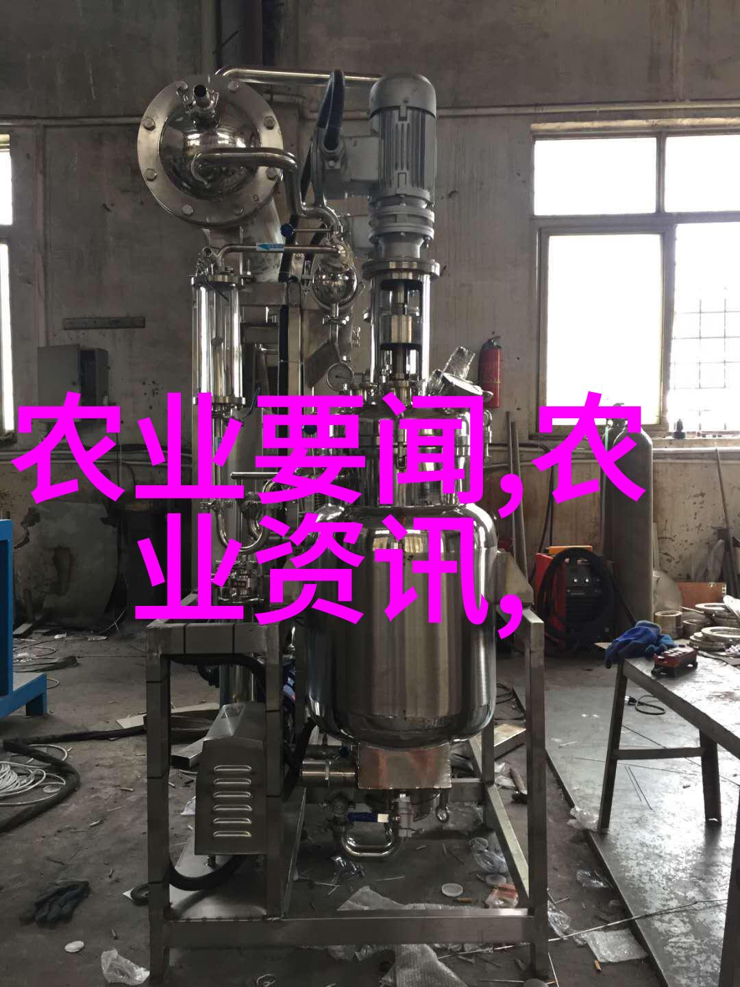 姬菇奇妙的食用菌