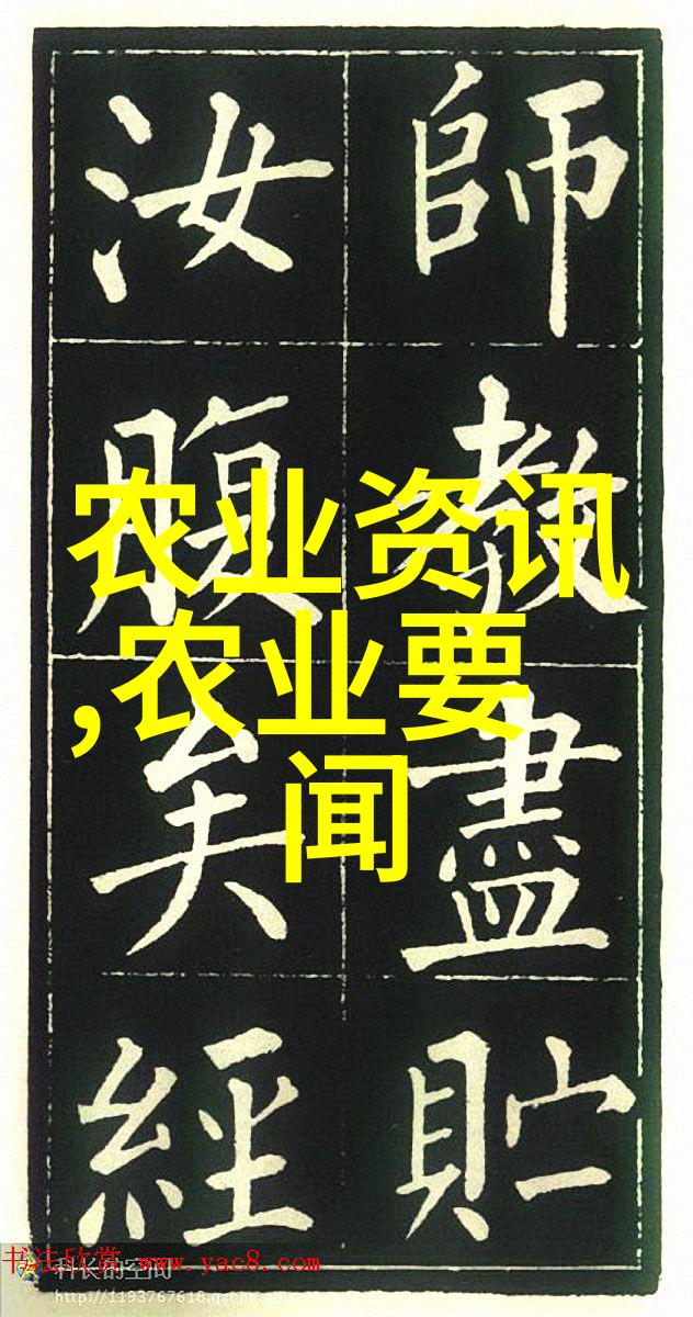 亲属继承制度改革的关键点是什么