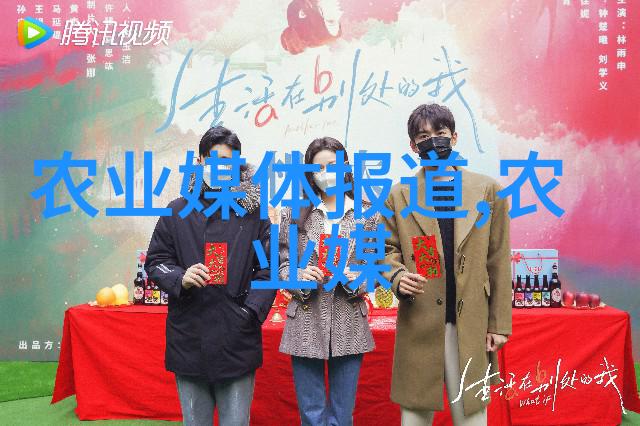 听风者沉默的守望与遥远的回声