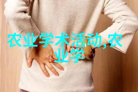茶叶简明指南品鉴茶叶的艺术与乐趣