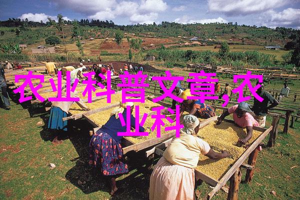中草药的种植前景与分析咱们来看看这块市场能有什么变化吧