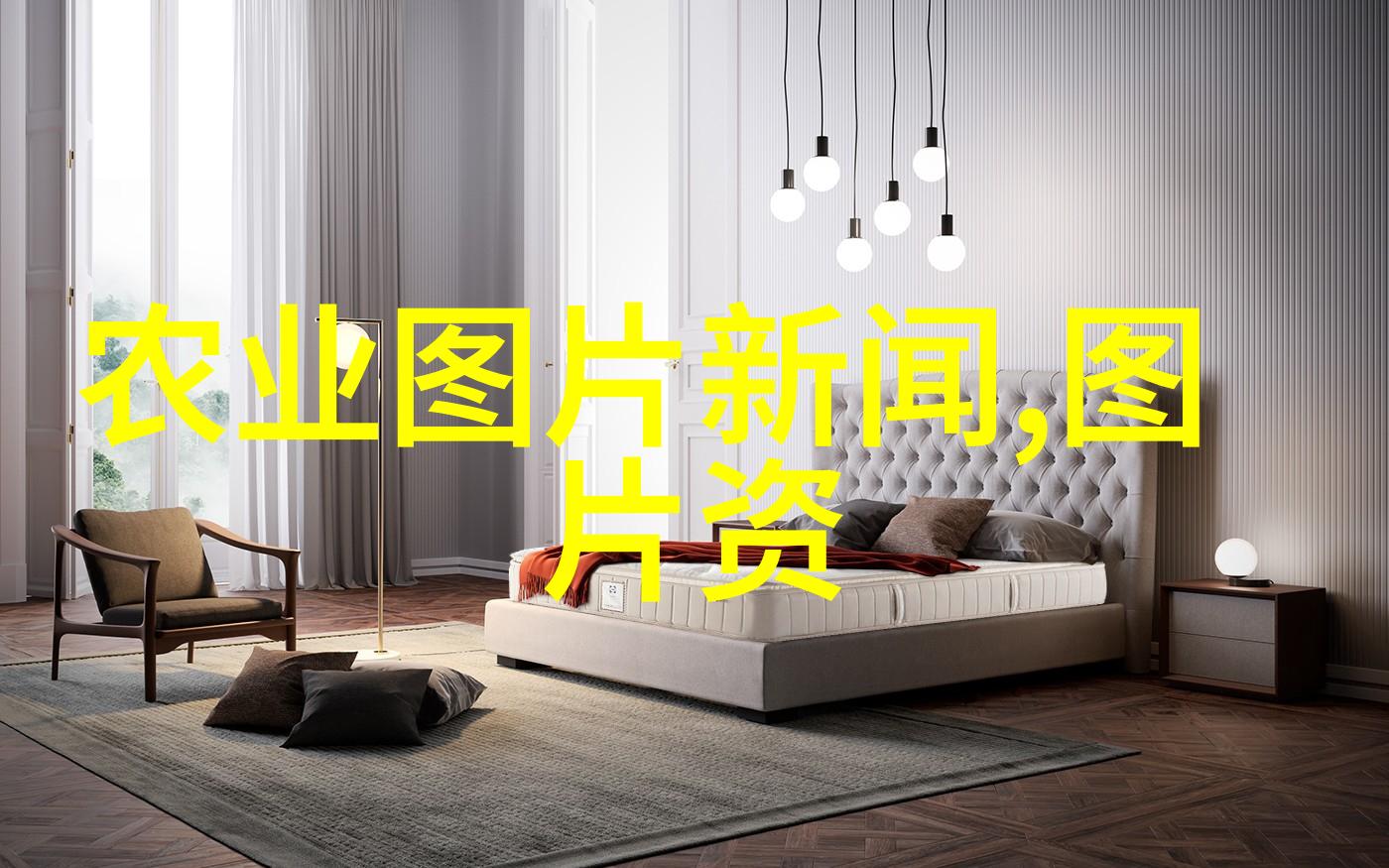 探索花卉多样性深入分析不同品种的生长特征与适应机制