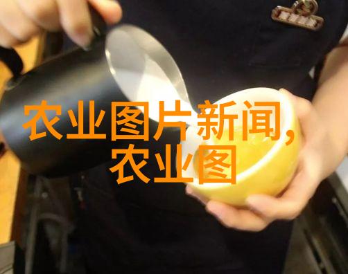 红枫8公分的秘密