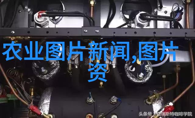 命名之旅追踪人类对于自然界美好事物的赞颂