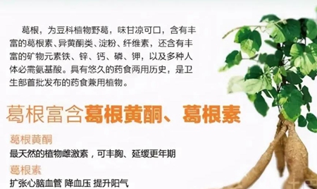 绿意盎然揭秘农田里的奇妙生长术语