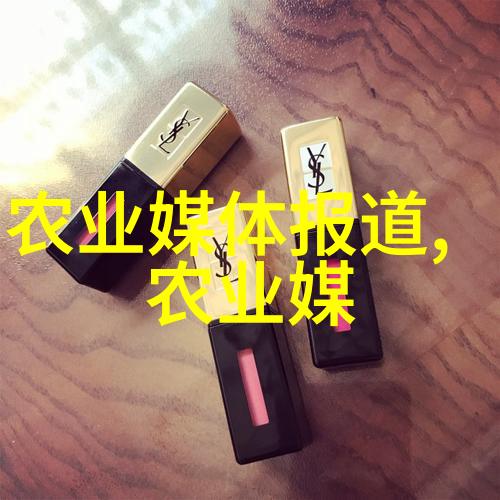 投档状态查询入口-高校招生简章系统的关键功能与操作指南