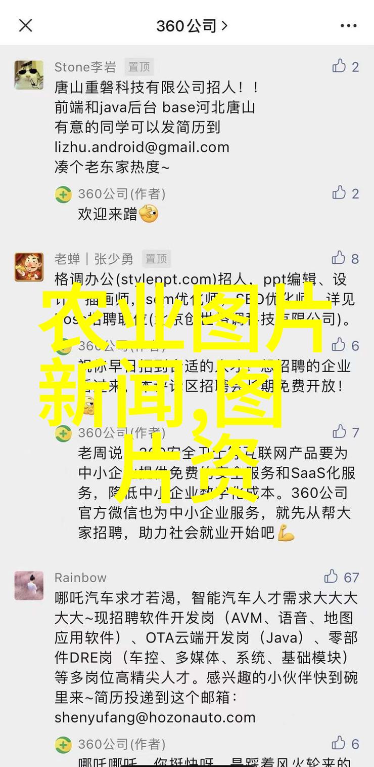 233乐园欢笑与梦想的碰撞地