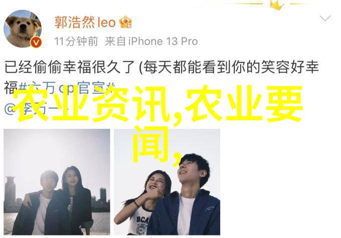 从业者的智慧采访一位经验丰富的蜜蜂养殖基地主人