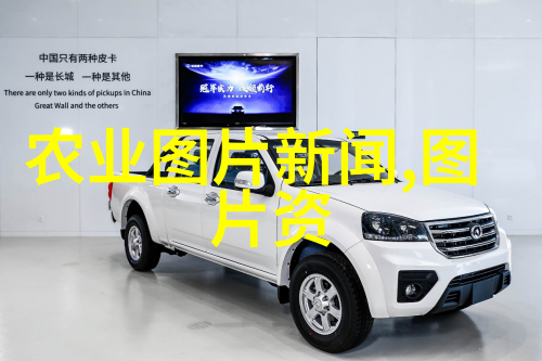 羊毛覆盖的贫困一个穷人养羊的故事