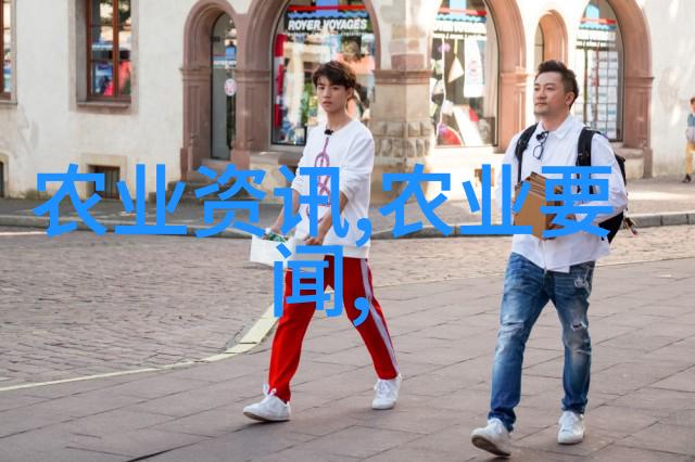 精准养殖土蜜蜂管理技术与实践指南