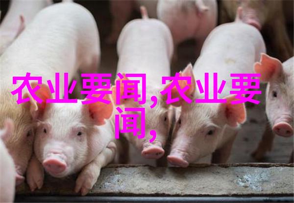 家庭阳台种菜盆温馨庭院的绿色宝库
