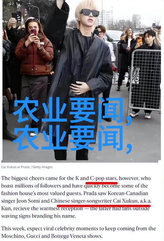黄姜种植技艺解锁中药宝库