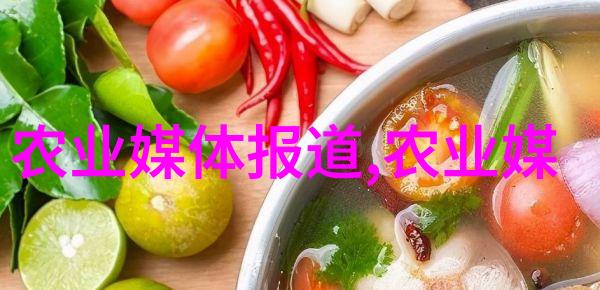 茶树的品种和分类-揭秘世界上最美味的茶从绿茶到乌龙探索不同品种的神奇之处