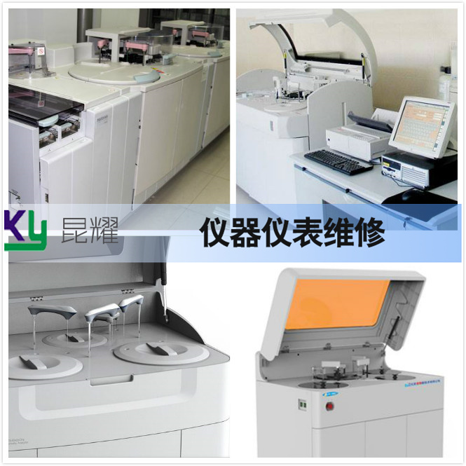 6月份蜜蜂群体如何维持其生态平衡