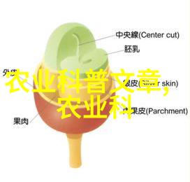 捕手的智慧揭秘擒拿技巧与策略