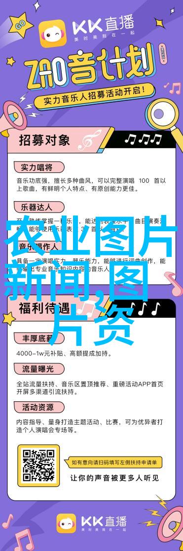 2023年中蜂养殖视频捕捉蜜蜂忙碌的夏季篇