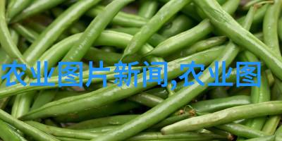 春意盎然的室内十大吉利花增添家居温馨与活力