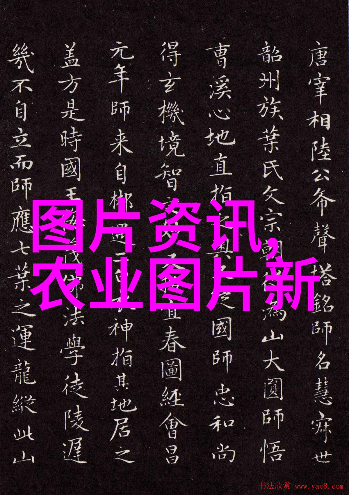 药材种子在哪里购买-寻找良品药材种子的采购指南