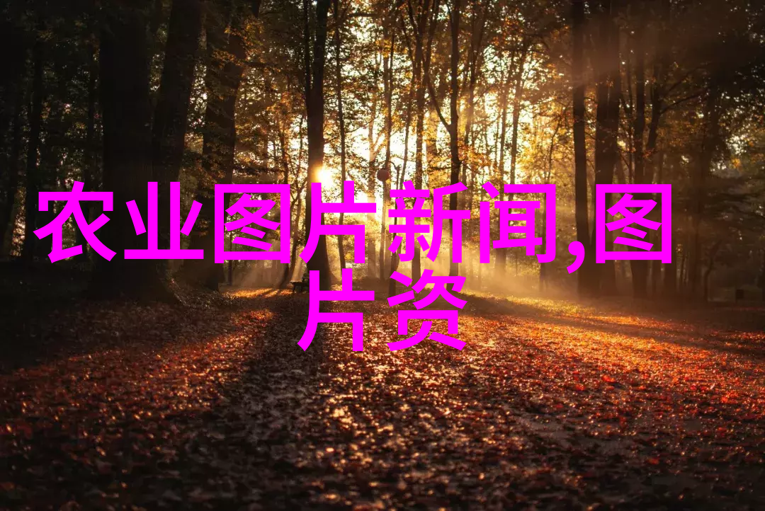 农机作业包括什么-机械化耕种收获揭秘现代农业的农机作业全貌