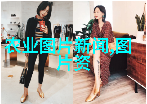 跨平台适用的jpg图片格式变更软件推荐指南