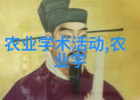 花盆批发价厂家直销开启园艺美学新篇章