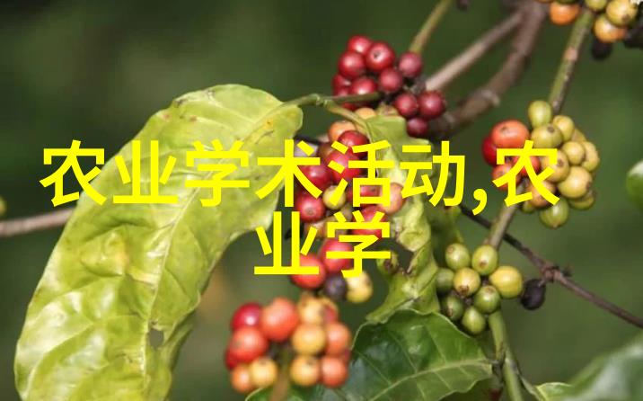 探秘中草药世界100种草本神奇的名字背后