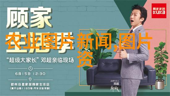 茶香探秘绿红白三大类的品味之旅