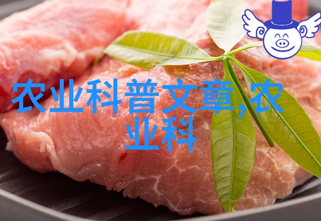 大数据就业方向及前景-挖掘未来深度探究大数据行业的就业机遇与发展趋势
