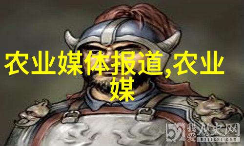 雪心狐白夜下的幻影