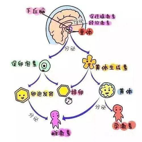 普洱