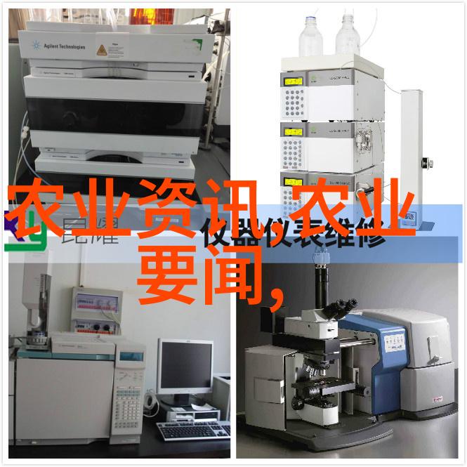 小户型大绿意精选适合狭地种植的小型植物品种