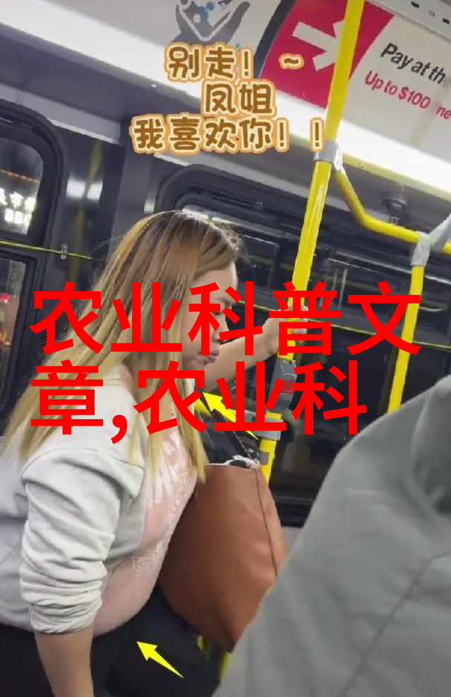 茶艺传承探索中国古代茶文化的精髓与魅力
