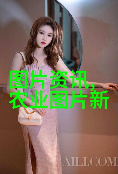 种植蔬菜过程分为几个步骤-从播种到收获一个完整的指南