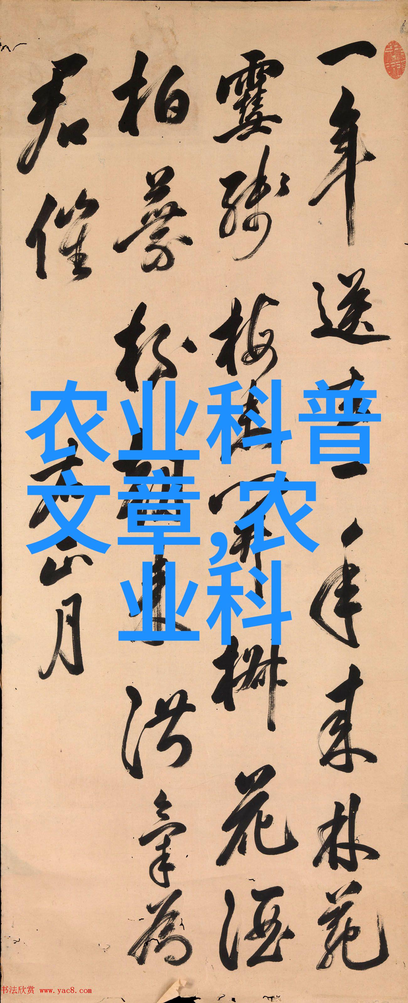 广东中药材种植基地绿色生态与传统智慧的共生之地