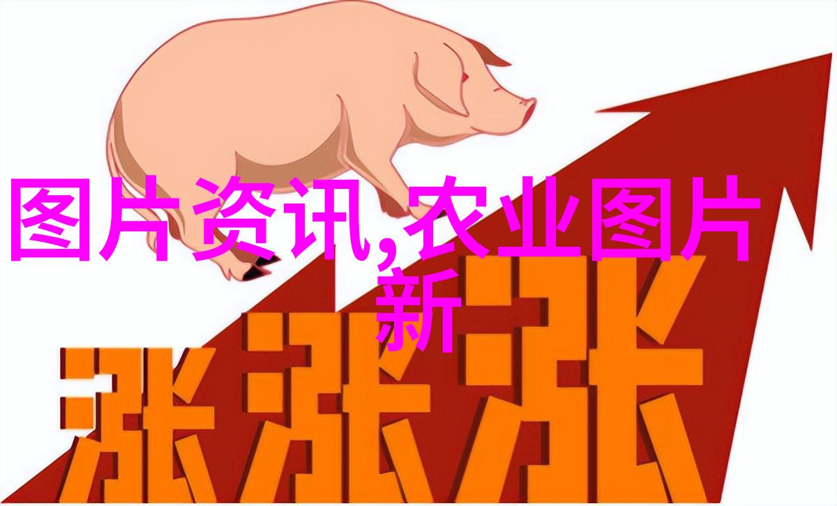 蔬菜百科全书详尽的蔬菜种类介绍与营养价值分析
