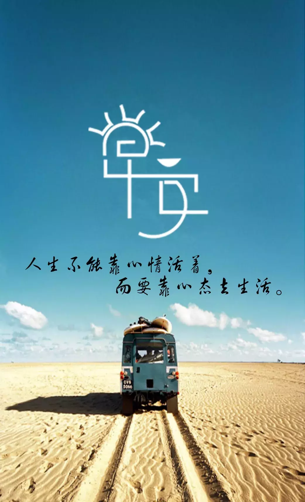 十字花科蔬菜之美色彩斑斓的健康宝藏