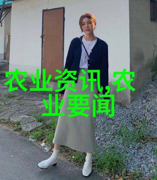 茶文化的概念-品味时光探索茶文化的哲学与艺术