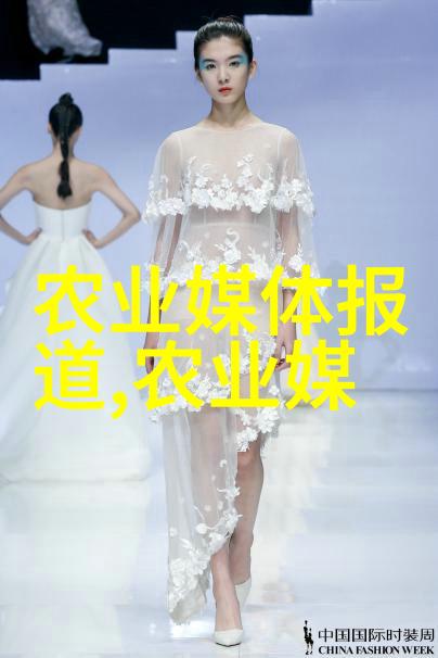 鸡爪槭精选12公分精品品种探秘园艺中的新宠