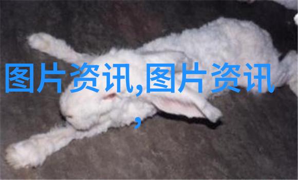 金线莲回收公司的可持续发展策略研究探索资源循环经济在环境保护中的作用